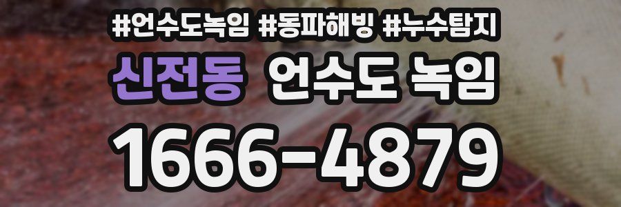 신전동 언수도 녹임