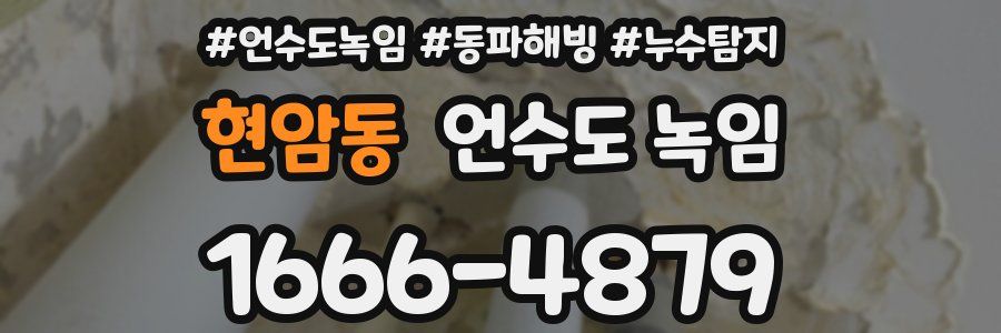 현암동 언수도 녹임