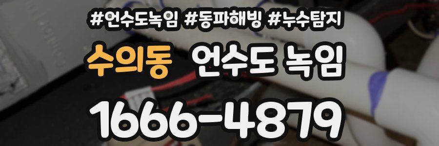 수의동 언수도 녹임