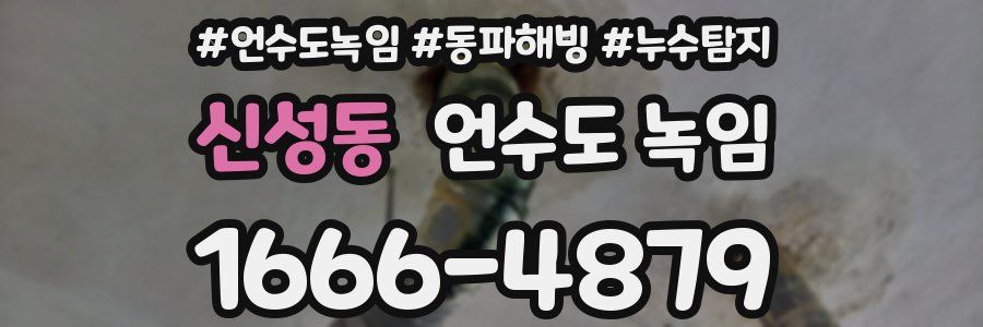 신성동 언수도 녹임