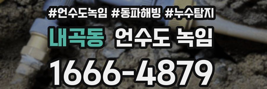 내곡동 언수도 녹임