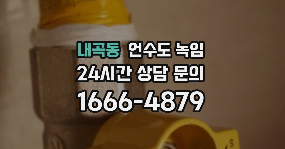 내곡동 언수도 녹임