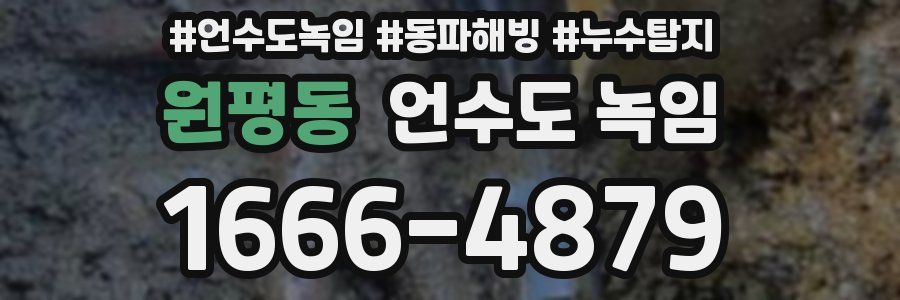 원평동 언수도 녹임