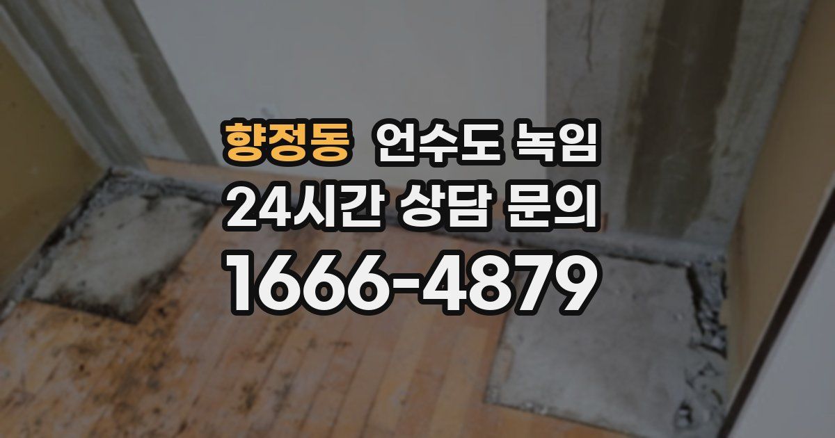 향정동 언수도 녹임