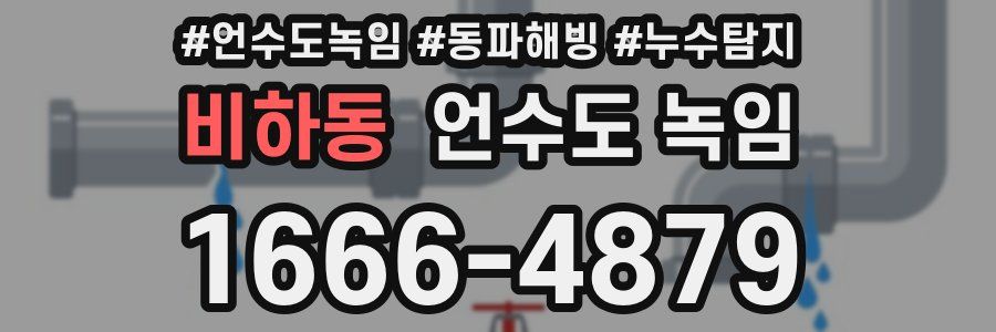 비하동 언수도 녹임