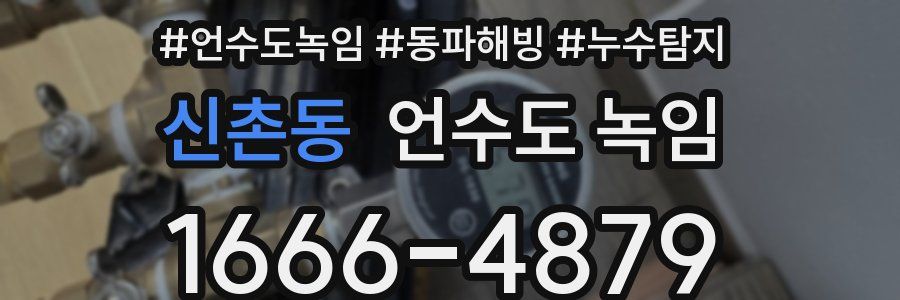 신촌동 언수도 녹임