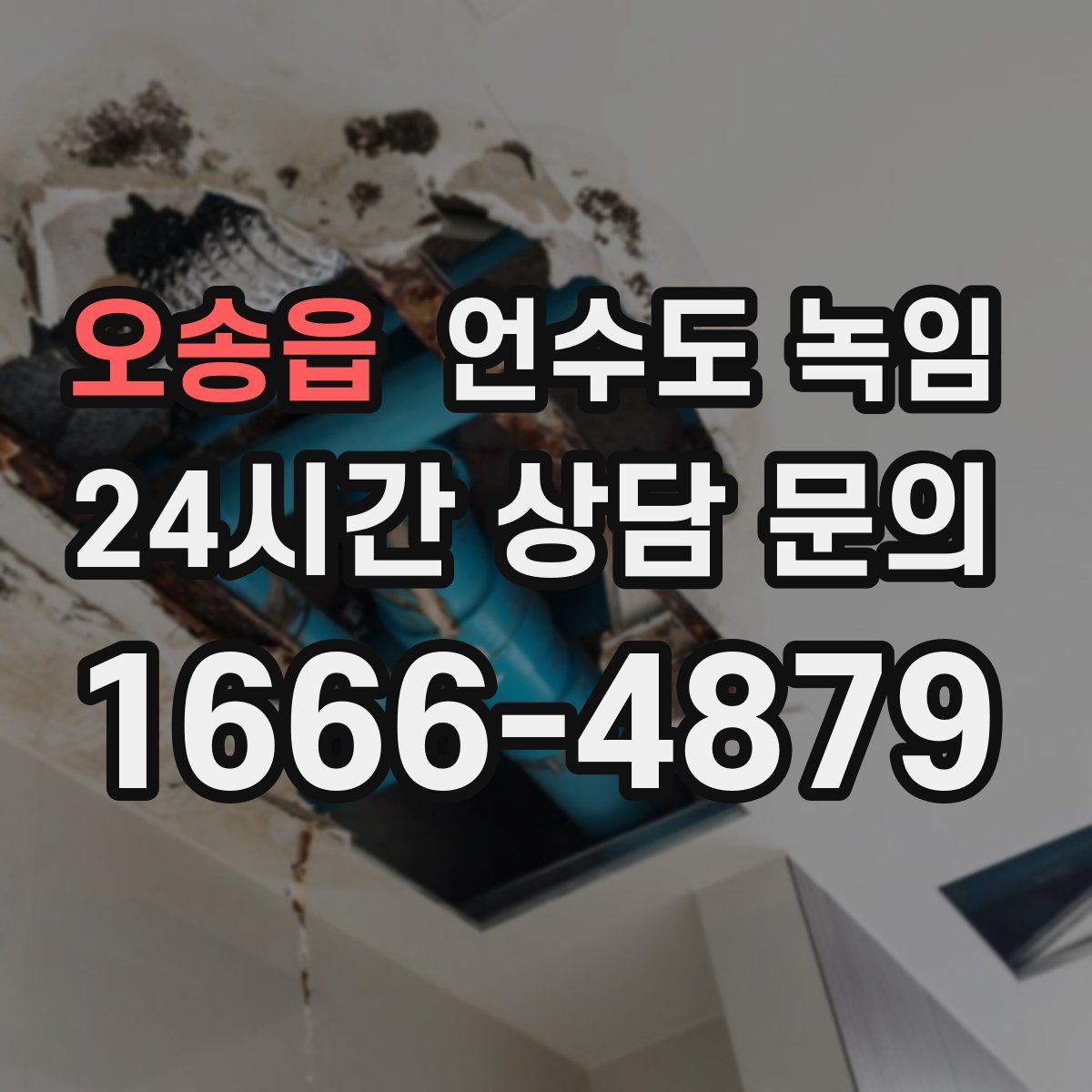 오송읍 언수도 녹임