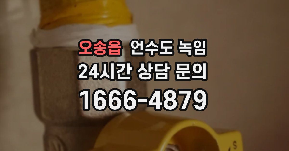 오송읍 언수도 녹임