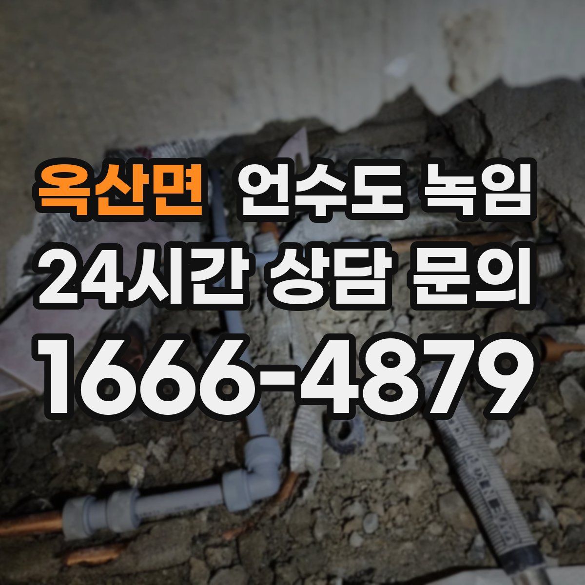 옥산면 언수도 녹임