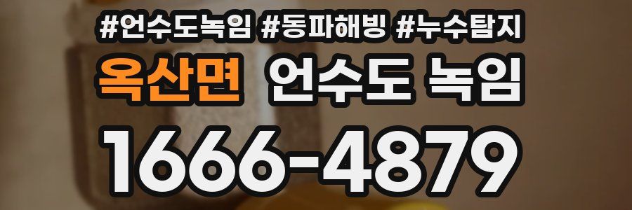 옥산면 언수도 녹임