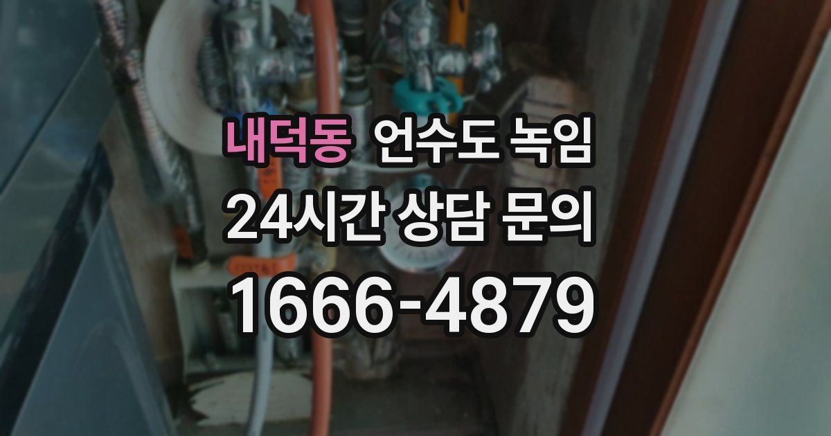 내덕동 언수도 녹임