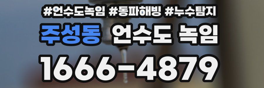 주성동 언수도 녹임