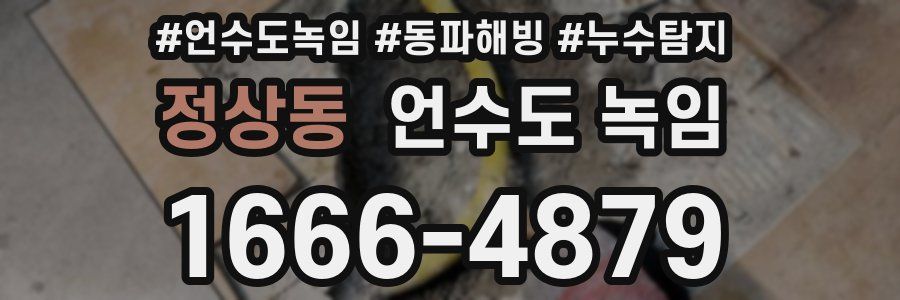 정상동 언수도 녹임