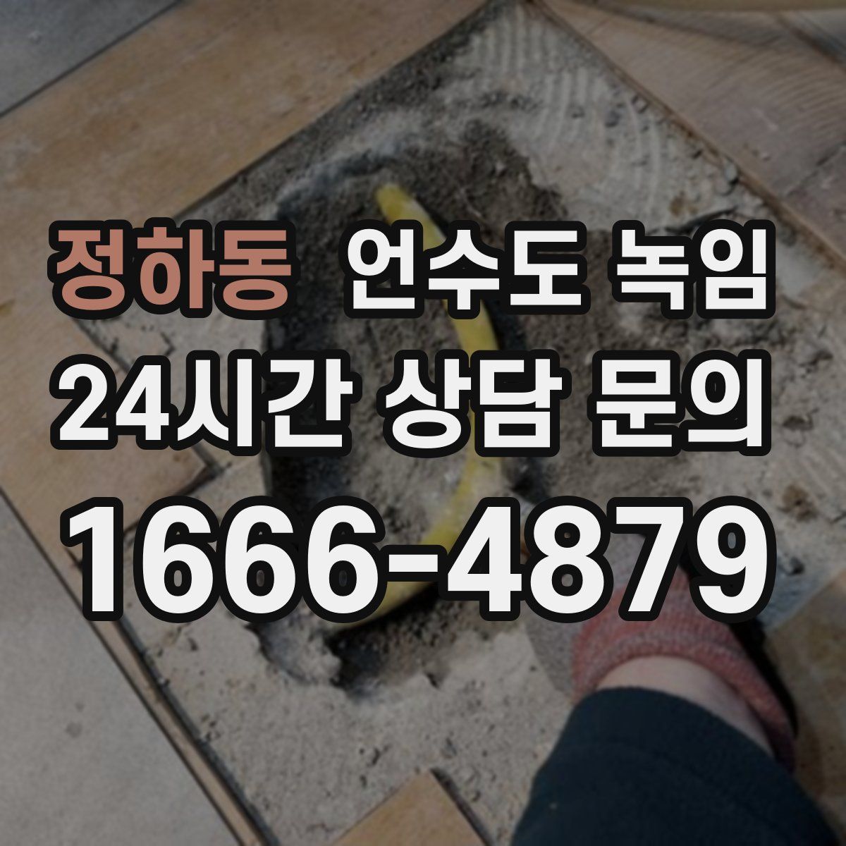 정하동 언수도 녹임