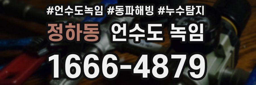 정하동 언수도 녹임