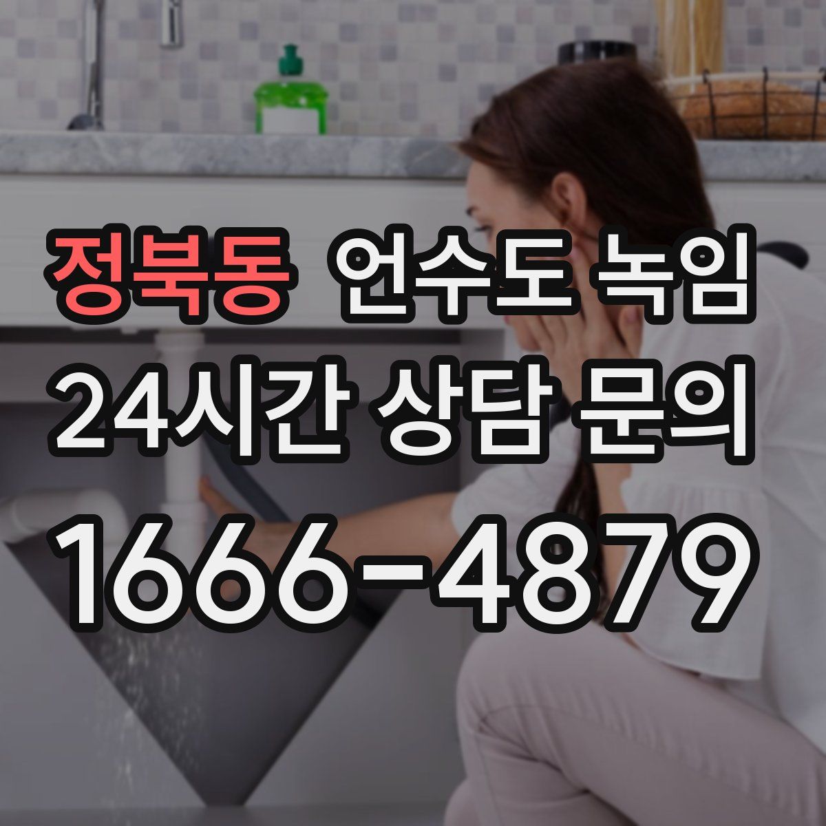 정북동 언수도 녹임