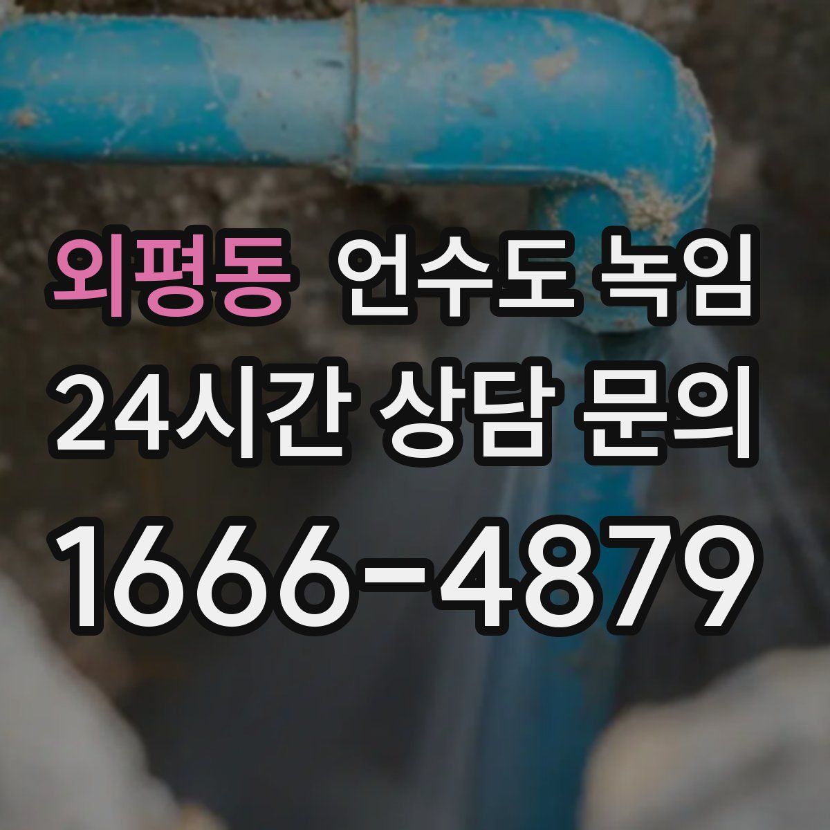 외평동 언수도 녹임