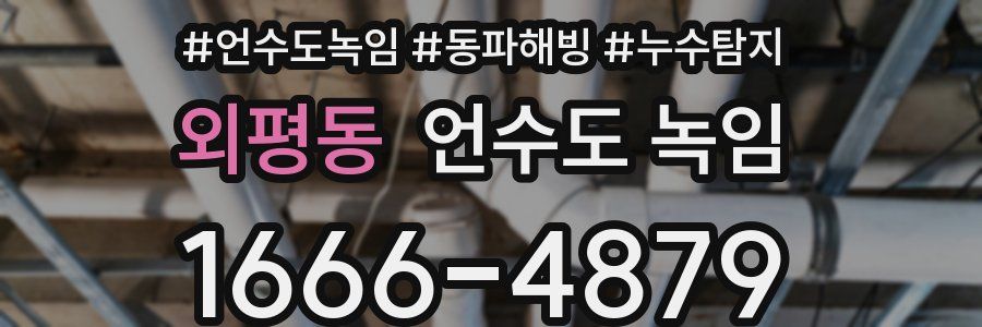 외평동 언수도 녹임