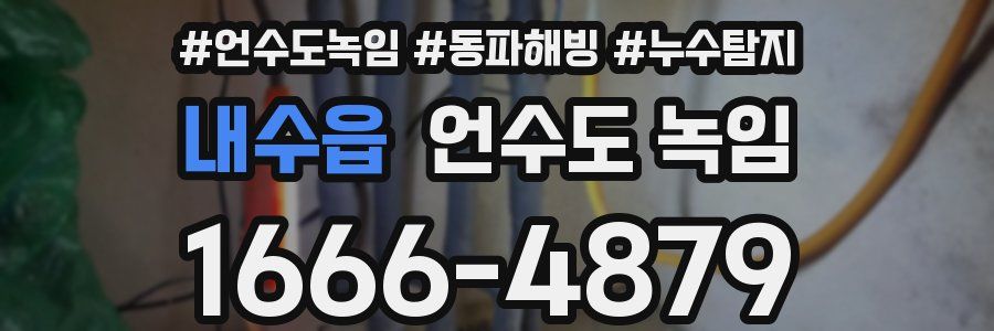 내수읍 언수도 녹임