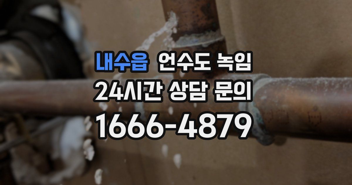 내수읍 언수도 녹임