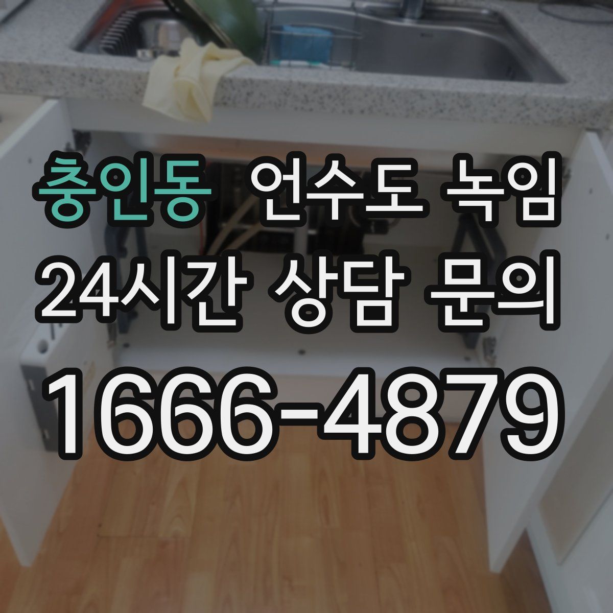 충인동 언수도 녹임