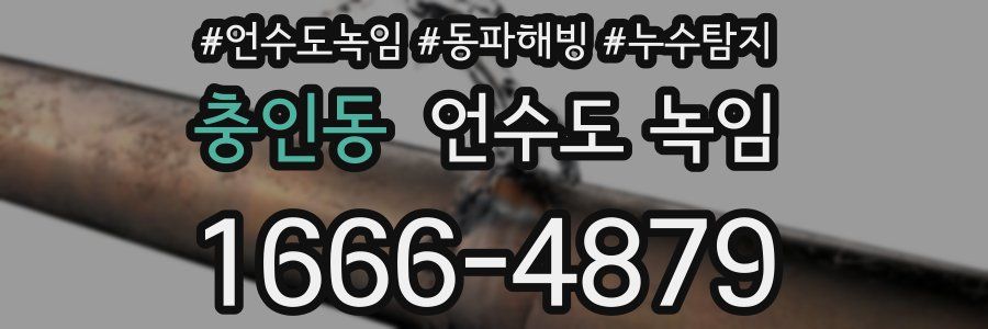 충인동 언수도 녹임