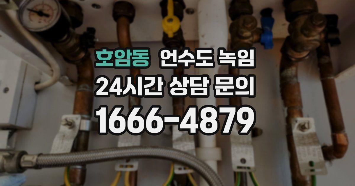 호암동 언수도 녹임