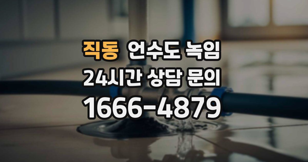 직동 언수도 녹임