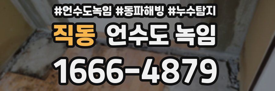 직동 언수도 녹임