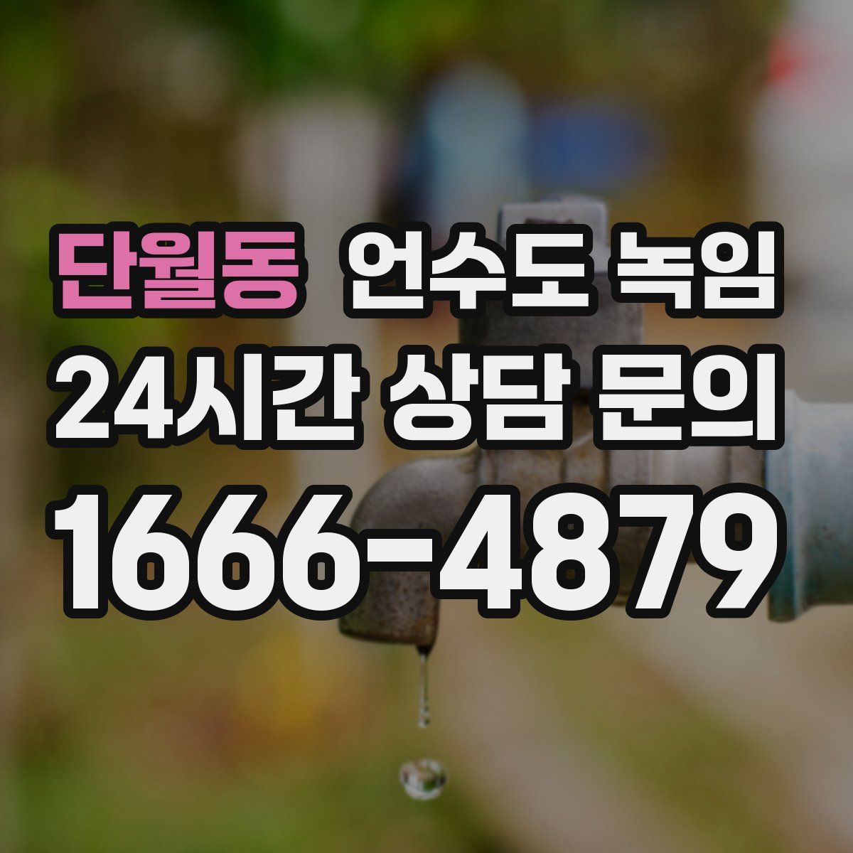 단월동 언수도 녹임