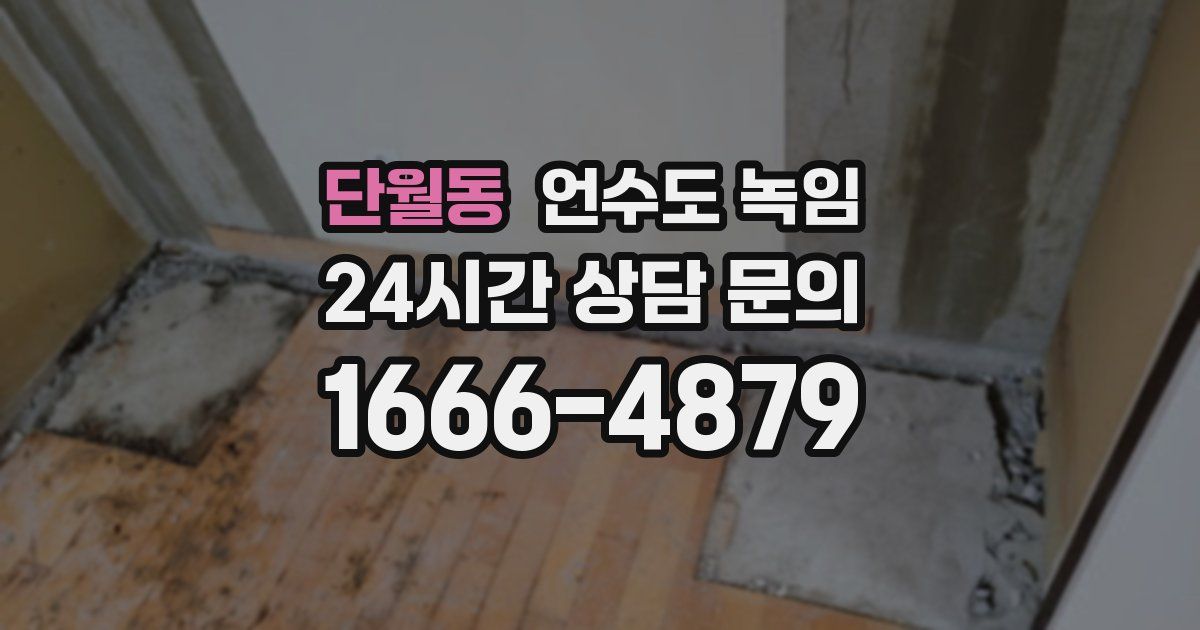 단월동 언수도 녹임