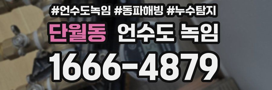 단월동 언수도 녹임