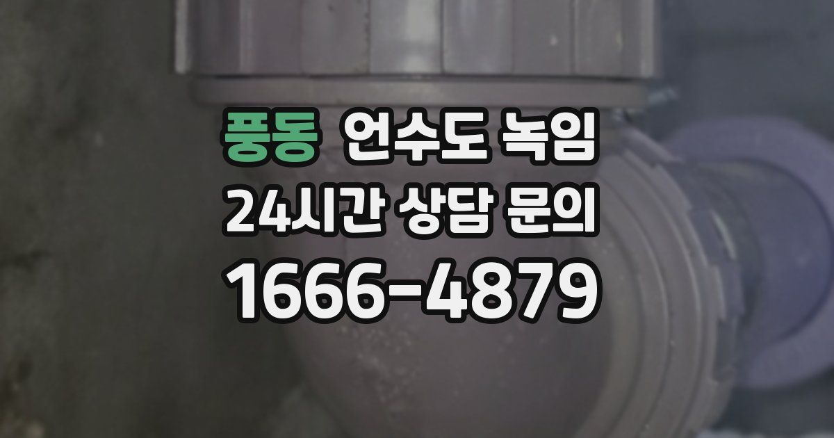 풍동 언수도 녹임