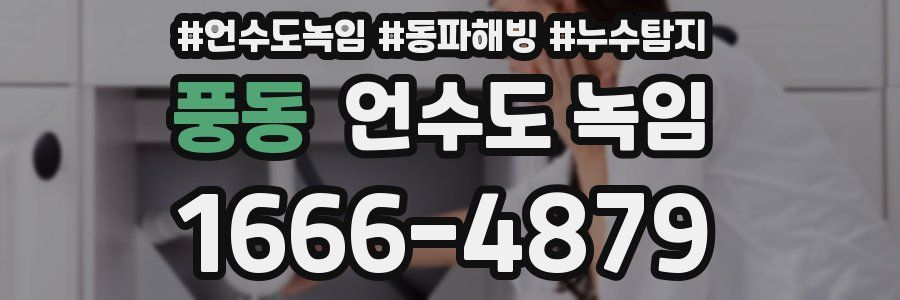 풍동 언수도 녹임