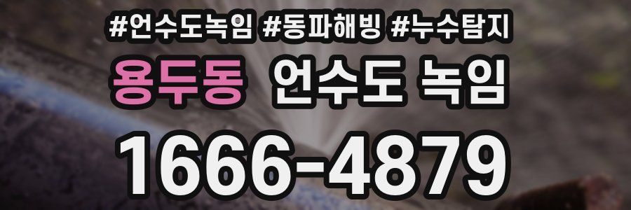 용두동 언수도 녹임