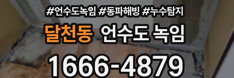 달천동 언수도 녹임