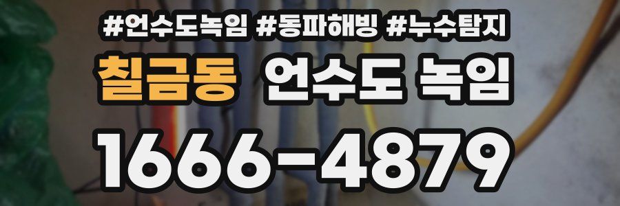 칠금동 언수도 녹임