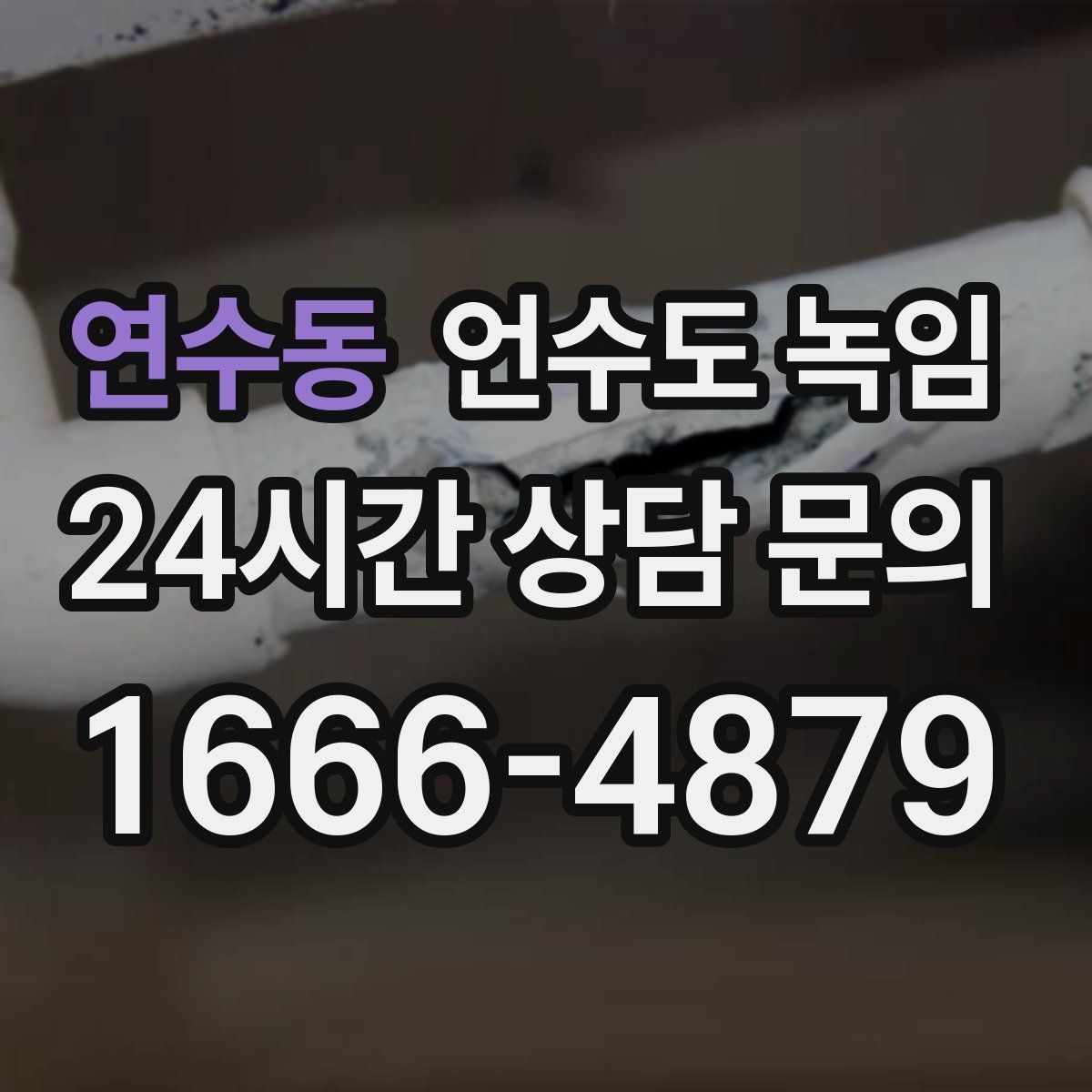 연수동 언수도 녹임