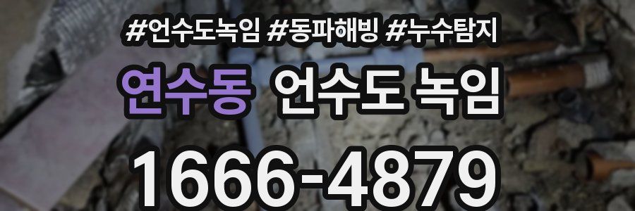 연수동 언수도 녹임