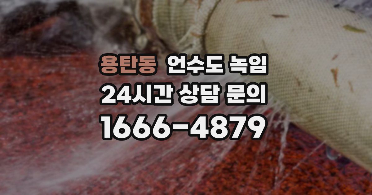 용탄동 언수도 녹임