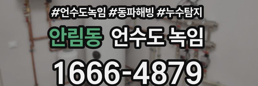 안림동 언수도 녹임