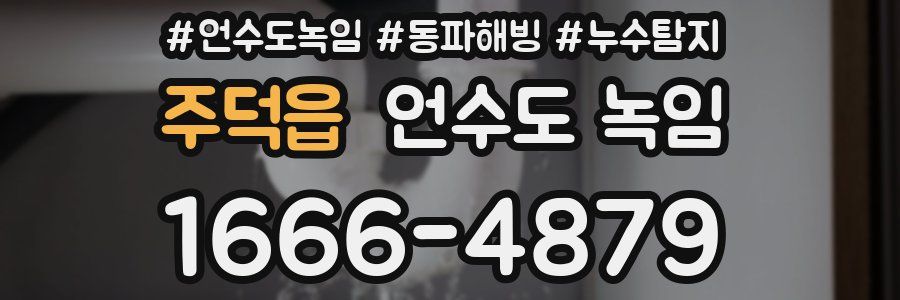 주덕읍 언수도 녹임