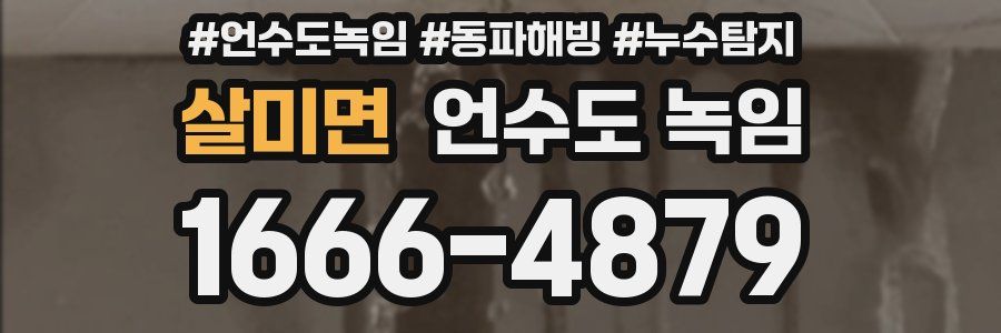 살미면 언수도 녹임