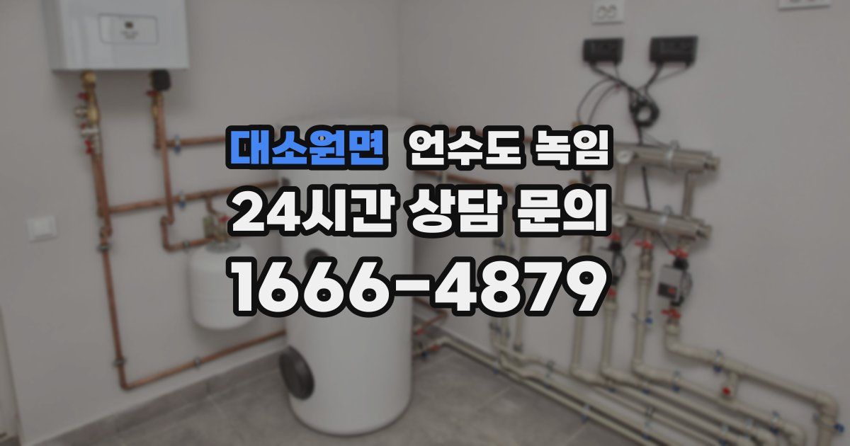 대소원면 언수도 녹임