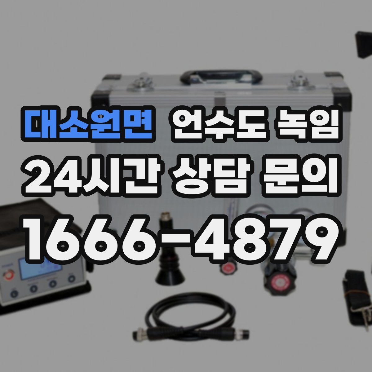 대소원면 언수도 녹임