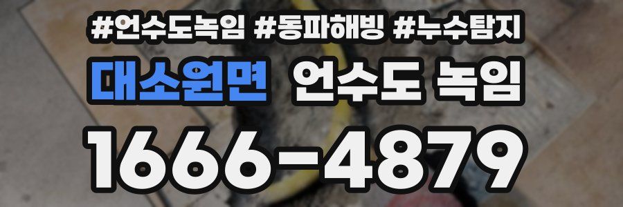 대소원면 언수도 녹임