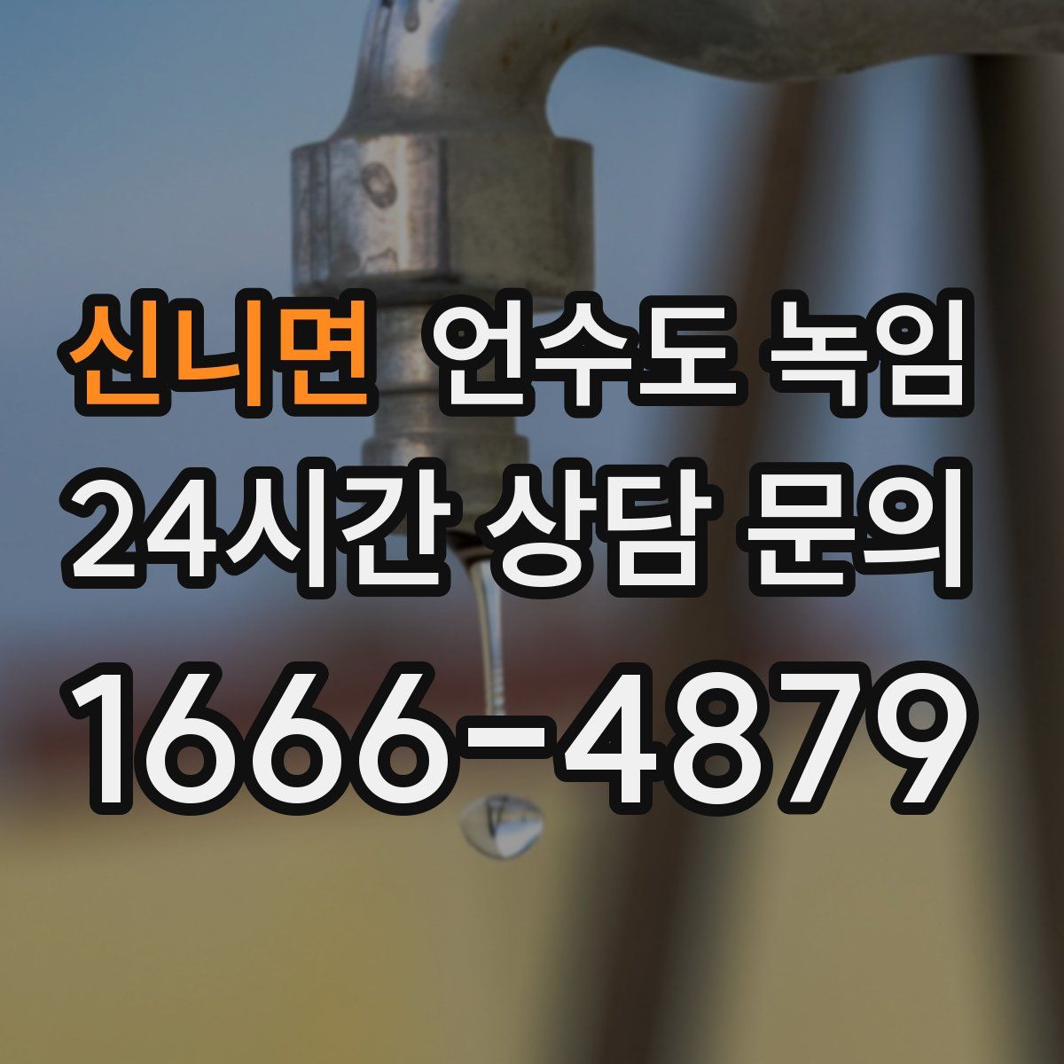 신니면 언수도 녹임