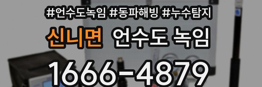 신니면 언수도 녹임