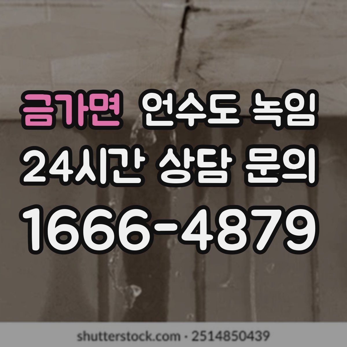 금가면 언수도 녹임