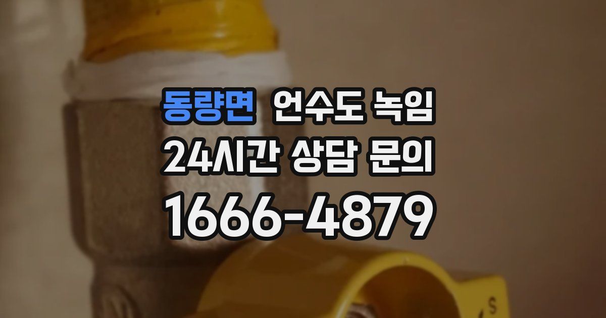 동량면 언수도 녹임